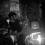 the-black-hollies_ 4
